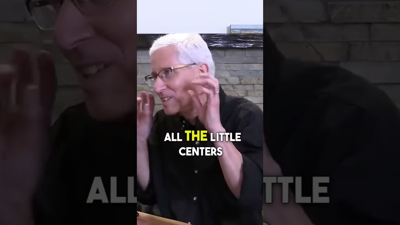 Huberman Lab Podcast Essentials: The Cerebellum’s Role in Movement Coordination  | Dr. David Berson