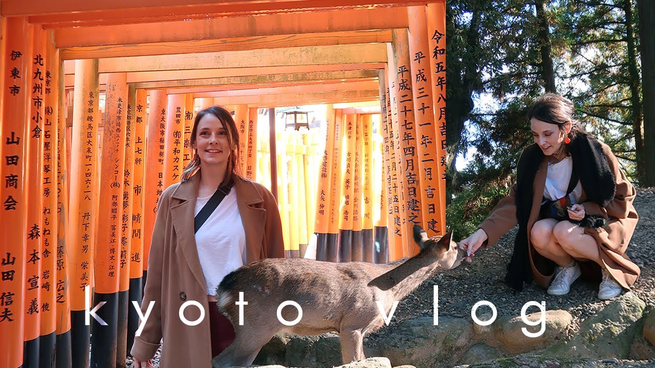 japonya vlog: kyoto'da 2 günümüz🦌 (geyikler, yemekler ve birtakım komiklikler)