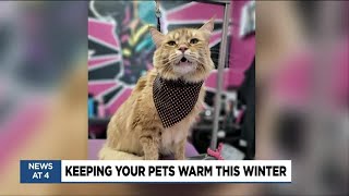 Keep your furry friends warm this winter