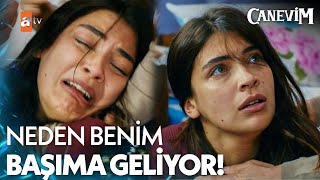 Ceylan nişan çeyizini görüp sinir krizi geçirdi  - Canevim 5. Bölüm
