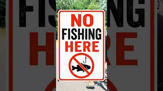 Great day in Beautiful Gilford, NH. Fish weren’t biting because we weren’t allowed to fish for them