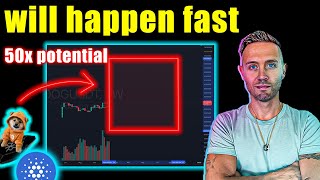 cardano & dog will dominate (the data is clear)