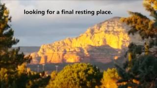Final Tribute to Shane Anthony Needham
