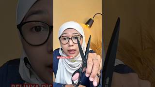 Deli Gunting Stainless Anti Karat