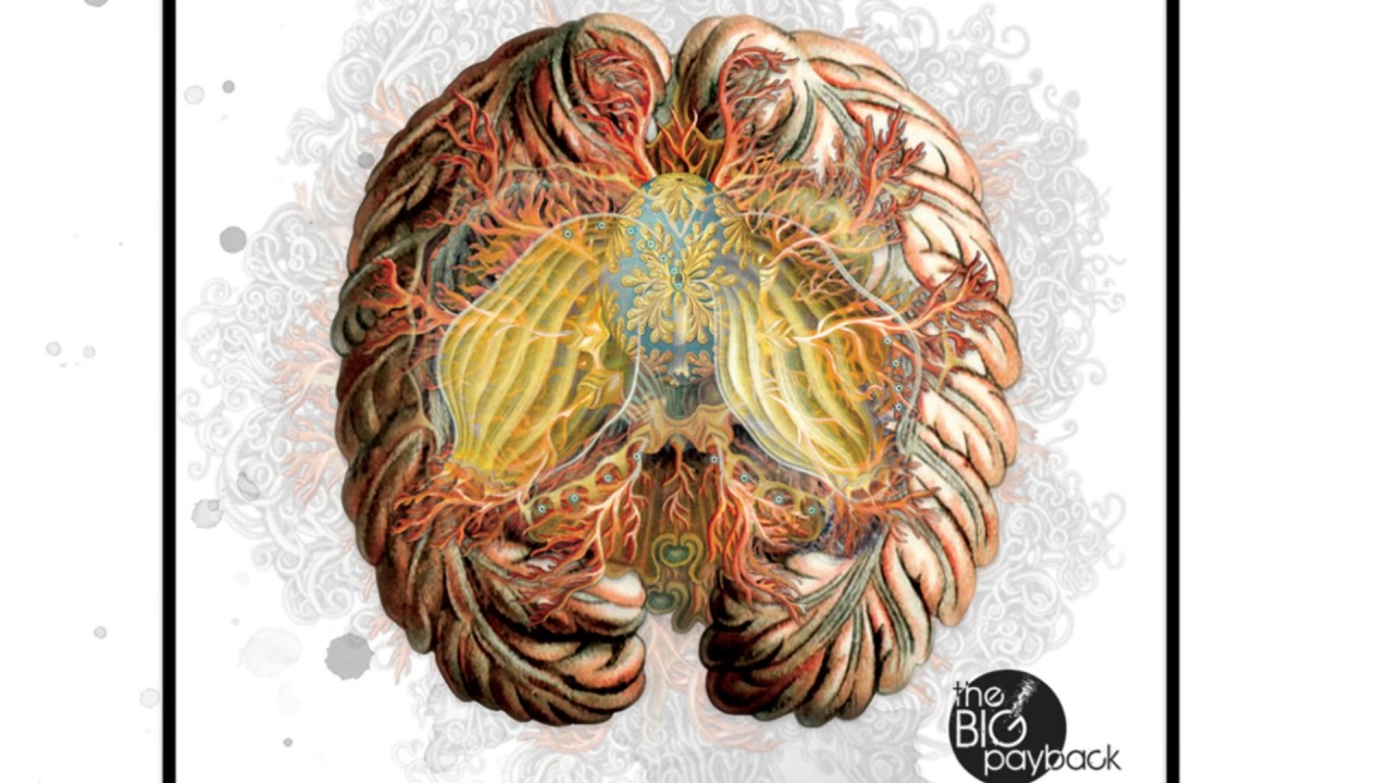 Animal Brain teaser - YouTube