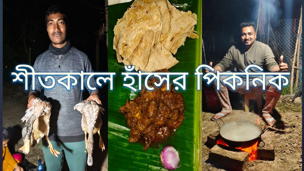 শীতের সন্ধ্যায় হঠাৎ হাঁসের পিকনিক 😍 | অবিশ্বাস্য মজা! Winter Evening Picnic With Ducks I
