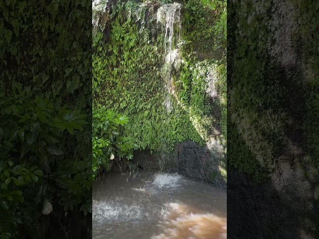 自然の音が1番癒されるね