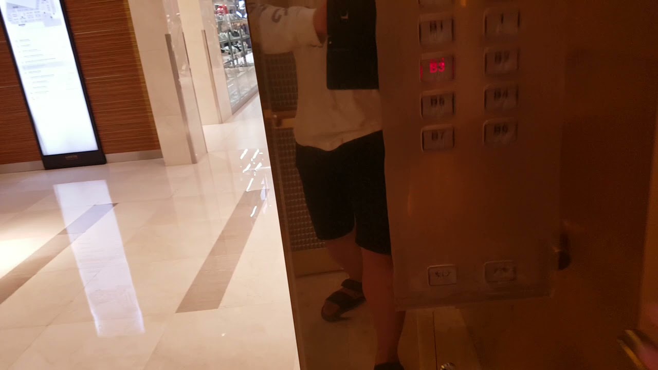 경기도 안양시 동안구 시민대로 180 (호계동) 롯데백화점 평촌점 나머지구간 7 쉰들러엘리베이터 알림음 및 경고스티커 교체후 탑사기