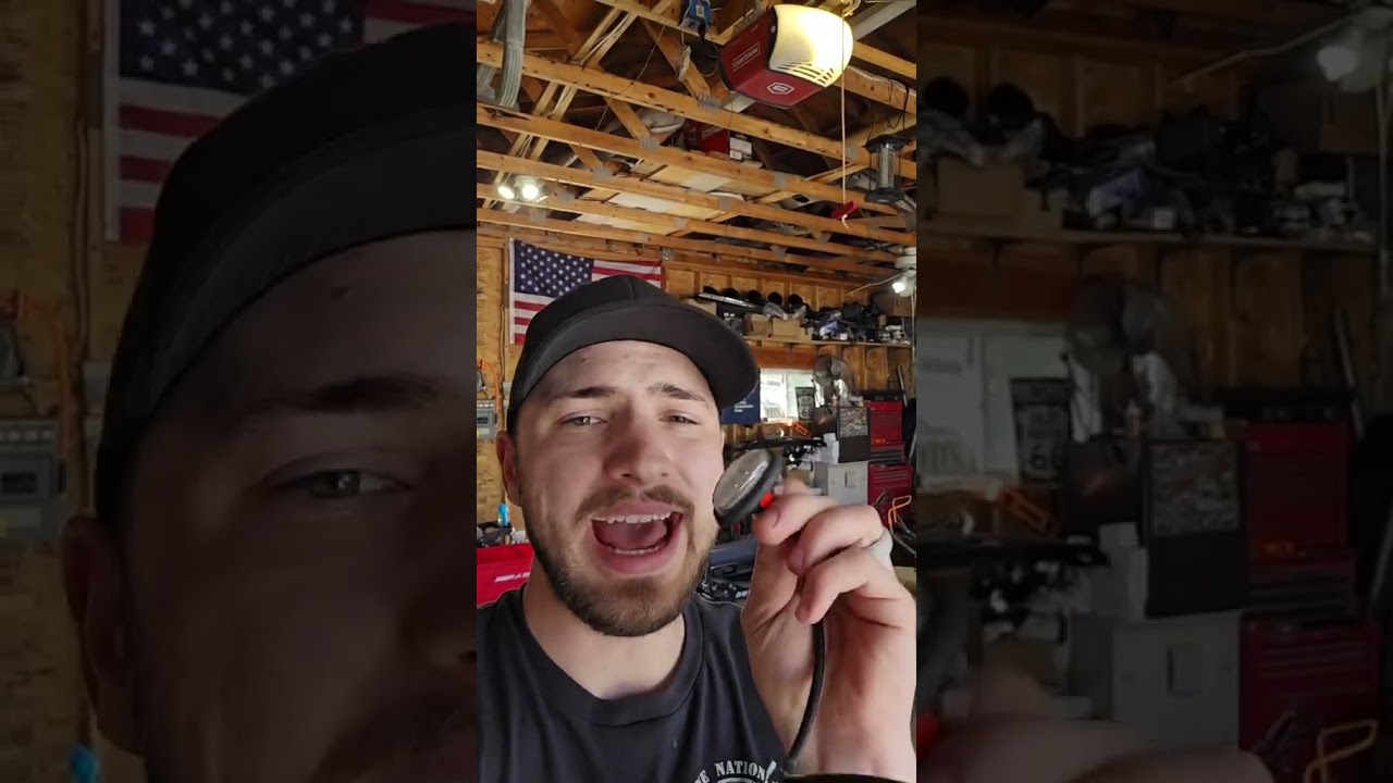 Где лучше всего наблюдать за хищными птицами с помощью фонарей?