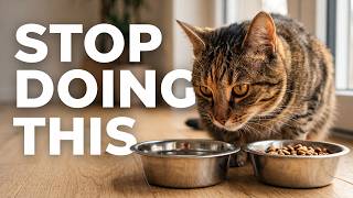 10 Common Mistakes Cat Owners Make Without Realizing It (And HOW To Fix Them)
