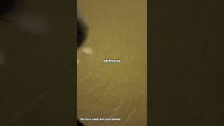 Çekme Şfet Şfetedüş Çekme Şfet