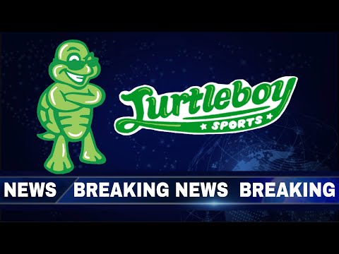The Turtleboy Twitter Saga: A Timeline Of Events You Need To See!