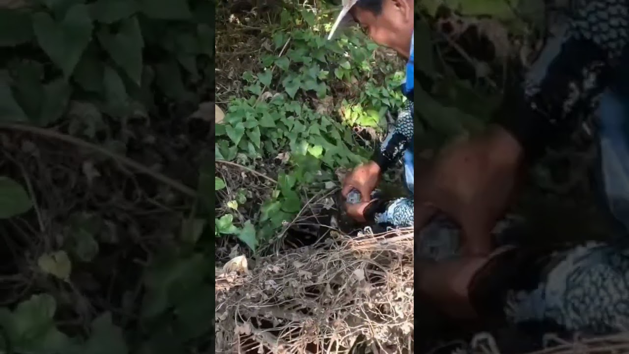 catch big fish in a grass