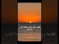 مع الف سلامه هيوحشنا دلوقتي على اليوتيوب اشرقت