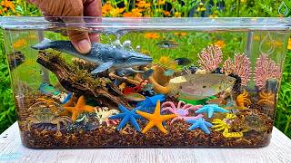 Sea animals, mini aquarium decoration with toy animals and find interesting mini toy sea animals