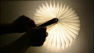LED Book light