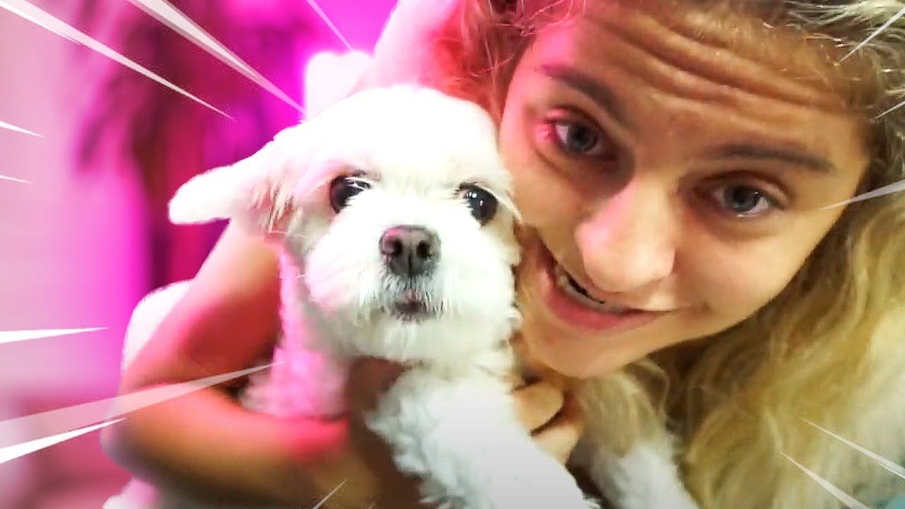 O NOVO MEMBRO CHEGOU !! ‹ BAIXAMEMORIA ›