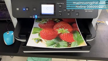 Máy in siêu tốc Epson 5290 chuyên in thiệp cưới, tờ rơi thích hợp cho tiệm photocopy, văn phòng