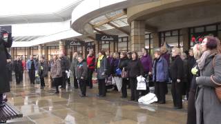 Flash Mob at Lakeside Retail Park, Doncaster