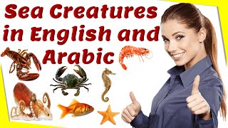 أسماء الأسماك بالإنجليزية والعربية|Sea creatures in English and Arabic