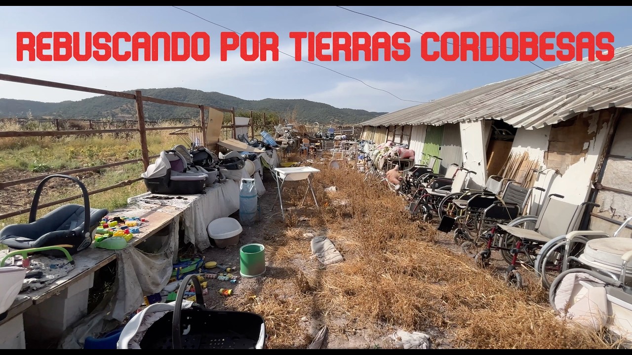 Cazando tesoros en Córdoba - Vamos a diferentes tiendas en busca de piezas nuevas