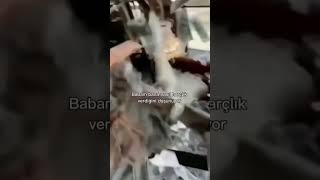 Aga Ben meğer zenginmişim aq #keşfetbeniöneçıkar #ytdayibenionecikarnolur