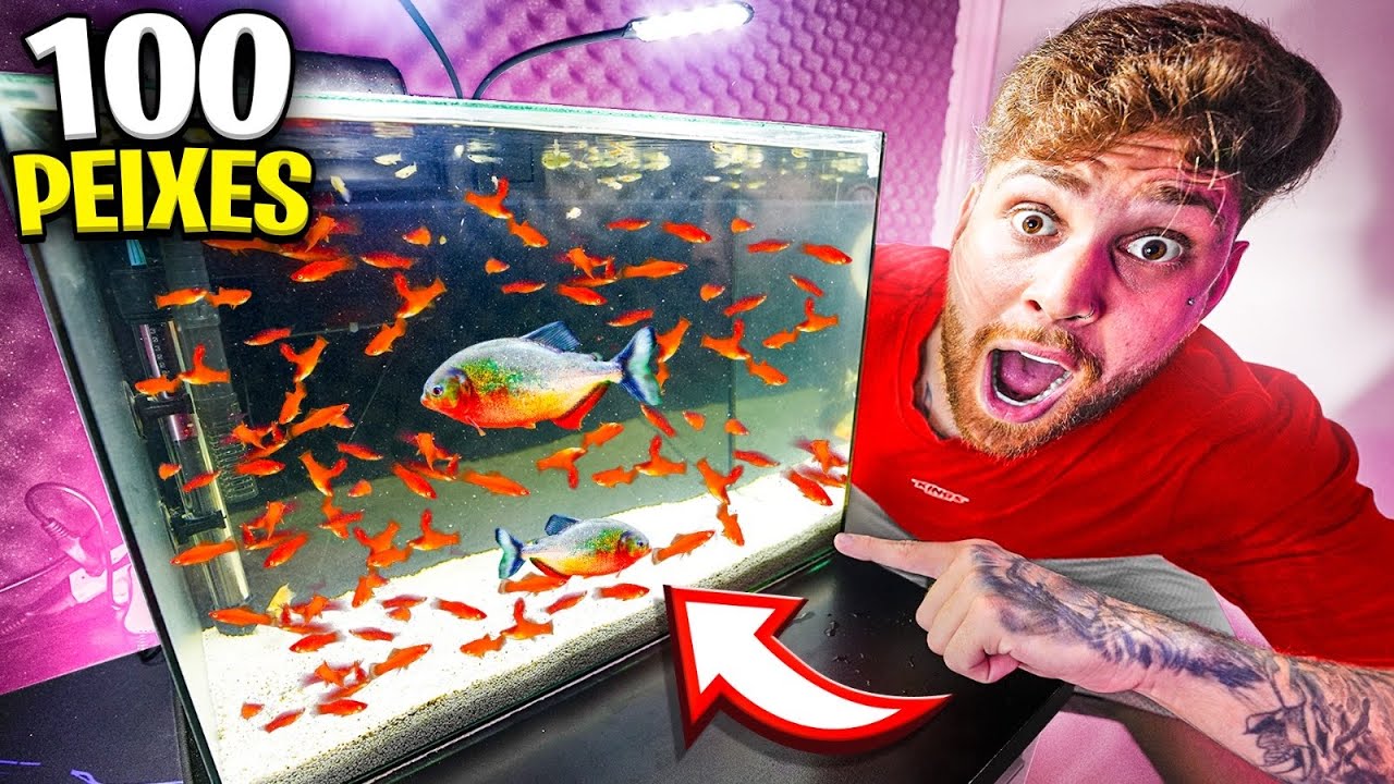 SOLTEI 100 PEIXES NO MEU AQUÁRIO DE PIRANHAS E ELAS COMERAM TODOS 😱