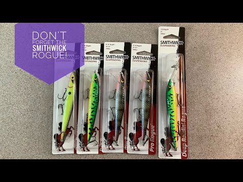 Don't Ignore The Smithwick Rogue Jerkbait! 