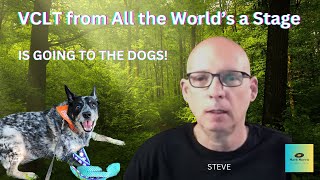 VCLT for Elsa the Blue Heeler from All the Worlds a Stage