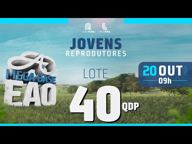 LOTE 40