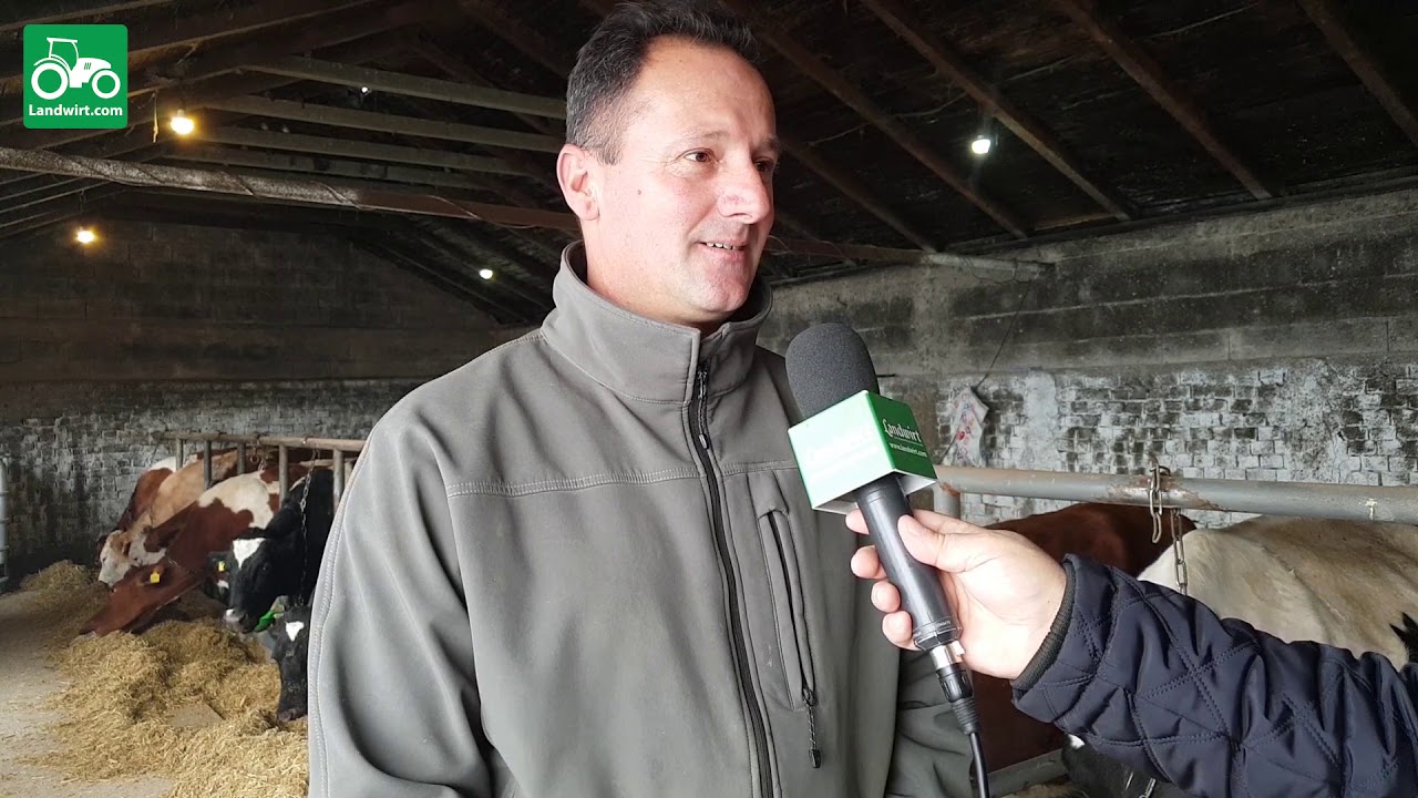 Ferma për prodhimin e qumështit në fshatin Llugaxhi të komunës së Lipjanit!