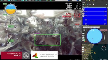 Fish detection. Neural network based sea bream detection