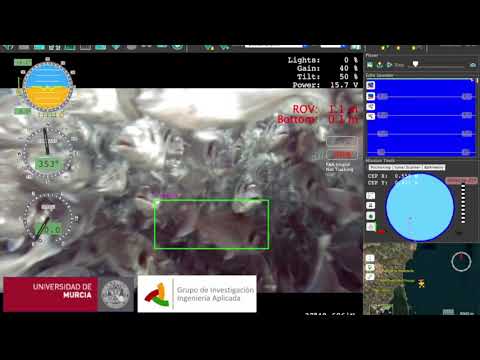Fish detection. Neural network based sea bream detection