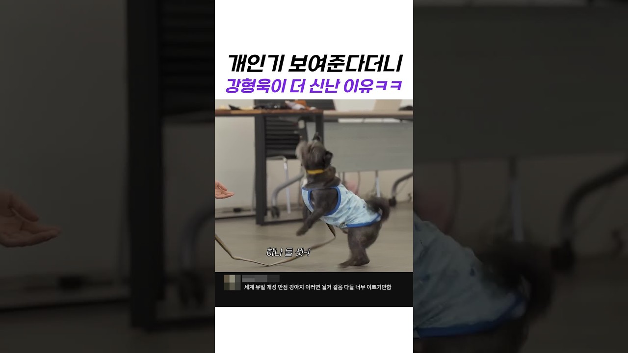 개인기 보여준다더니 강형욱이 더 신난 이유ㅋㅋ