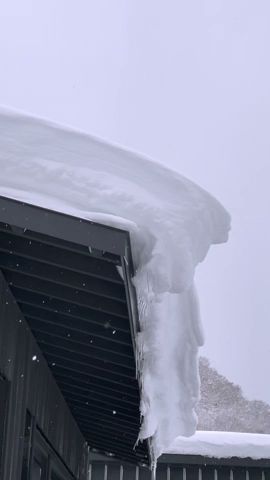 【雪庇落とし】屋根にできた雪庇(せっぴ)は柔らかいうちに落とす【ただし雪止めの付いた屋根に限る】 北海道札幌円山の家 Cut off the snow eaves in Japan #Shorts