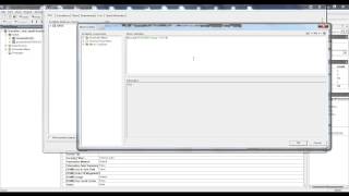 IBM Cognos BI: SAP HANA Input Parameters & Variables