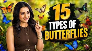Beautiful Butterflies Around the World 🦋 screenshot 4