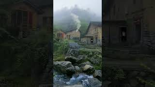Download Lagu nuansa pagi di desa yang asri, di temani kicau burung bernyanyi MP3 Download Lagu nuansa pagi di desa yang asri, di temani kicau burung bernyanyi MP3