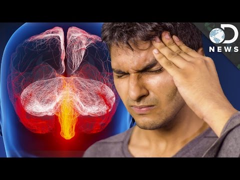 Why Do We Get Migraines?