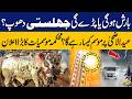 Eid Weather Prediction! | Rain or Scorching Heat? | Meteorological Department Big Announcement