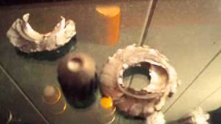 12 gage Federal Premium Vital Shok