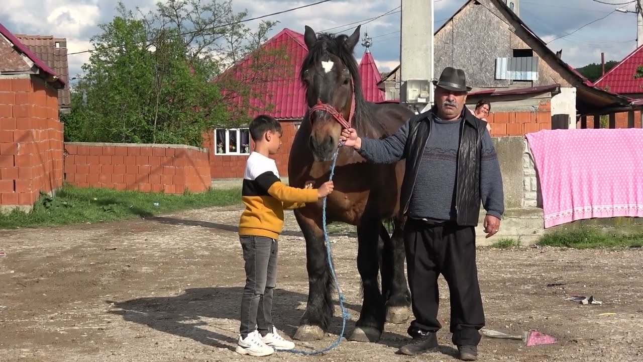 Iapa lui Liviu Imparatul de la Vadu Crisului, Bihor  - 2024 Nou!!!