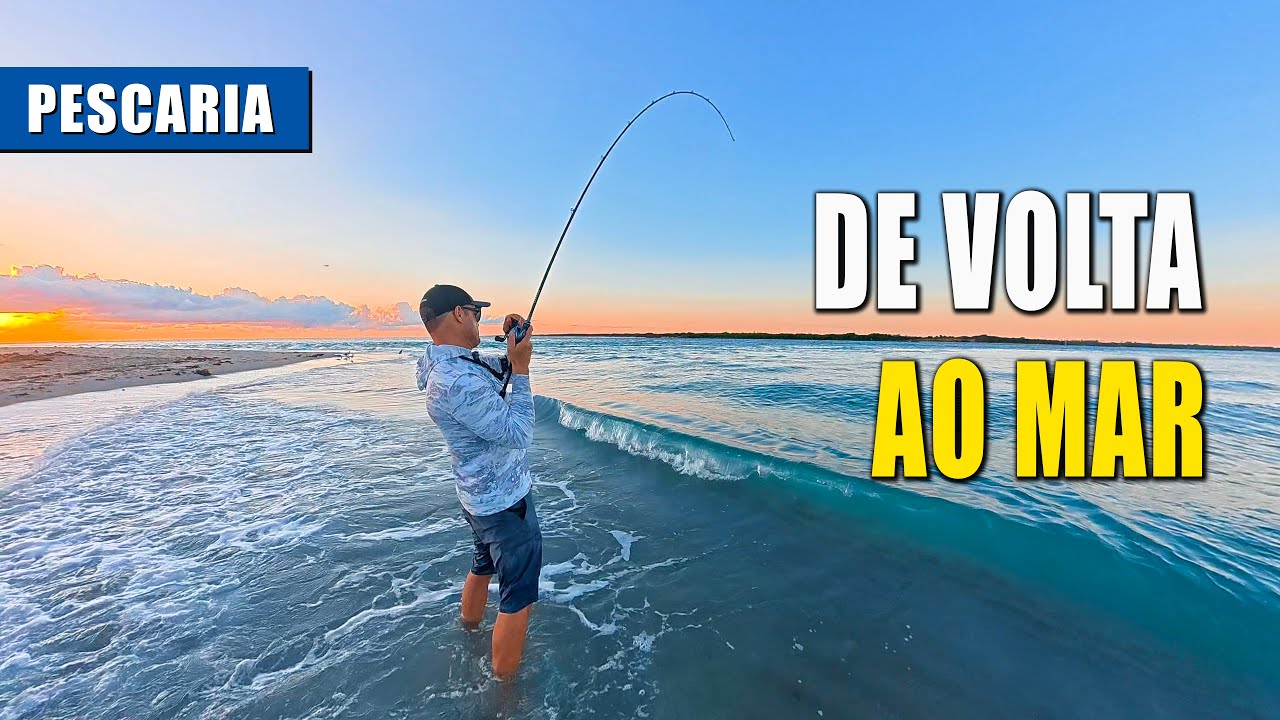 Pescaria no Mar Pós Furacões. Qual Peixe Apareceu Primeiro?