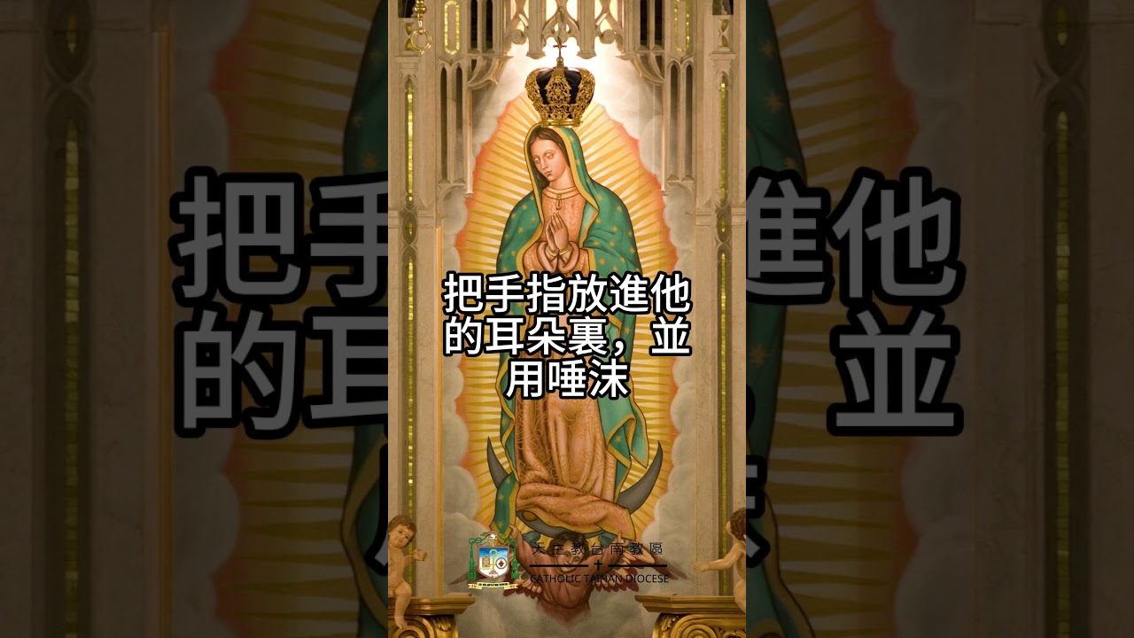 02/13   恭讀聖馬爾谷福音　7:31-37   他使聾子聽見，叫啞吧說話。