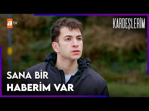 Tolga Her Şeyi Anlatacak Mı? - Kardeşlerim 115. Bölüm