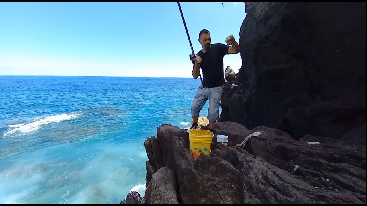 Sargo fishing / Pesca sargos ilha Terceira / Diplodus sargus