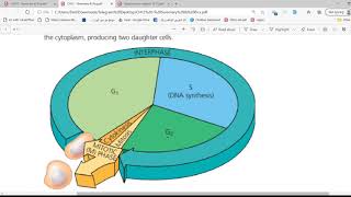 Biology 104 || Ch 12 Summary and High Yield Questions - By: Ibrahim Al-Sawalha