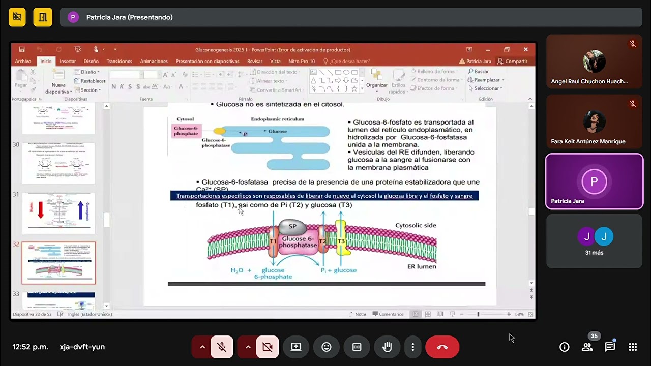 BIOQUI CARBOHIDRATOS 8