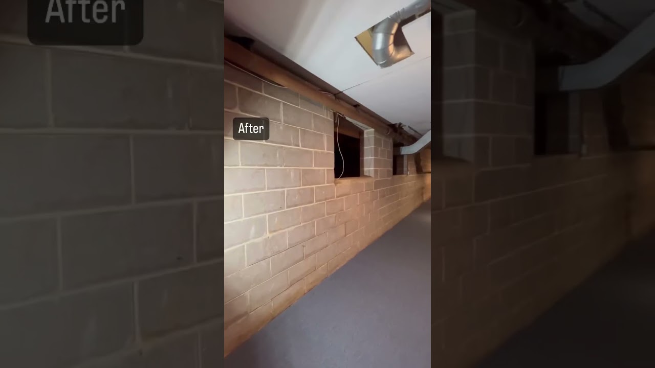 Home project:basement clean 