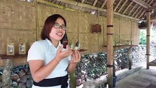 Honey Bee Farm Karangasem Bali Indonesia